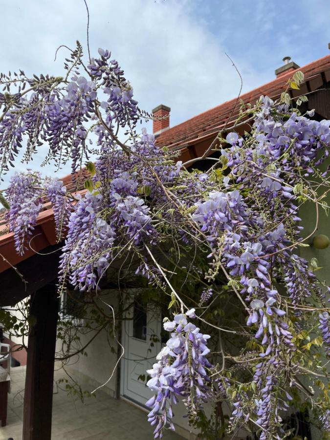 Helium Apartman Hévíz Eksteriør billede